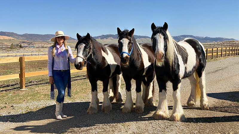 A person wearing a wide-brimmed hat, sunglasses, white blouse, blue jeans, white boots, and a scarf stands beside four black and white Gypsy Vanner horses in a fenced outdoor area. The horses have long flowing manes and feathered hooves. Behind them, a mountainous landscape with dry grass and trees stretches under a bright blue sky.