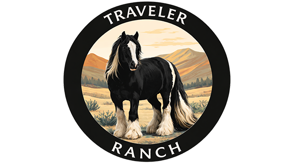 Circular logo featuring a black horse with white facial and leg markings, standing in a scenic landscape of green vegetation and distant mountains. The horse has a long, flowing mane and tail. Surrounding the image is a ring with the words “TRAVELER RANCH” in bold uppercase letters. The design evokes natural beauty and equestrian themes.